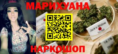 сатива Бузулук