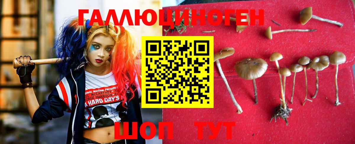 Галлюциногенные грибы Psilocybe  Вход с VPN  Галлюциногенные грибы мухоморы  Слободской 