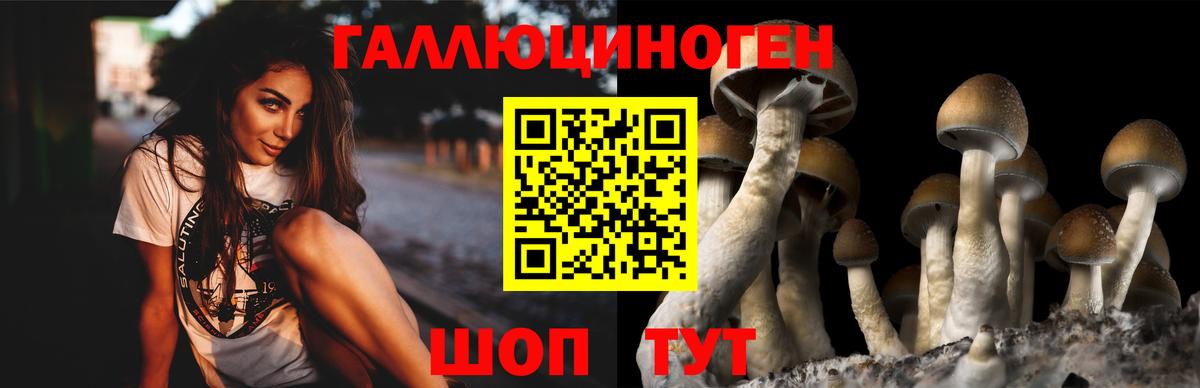 Галлюциногенные грибы ЛСД Слободской